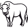 Buffalo