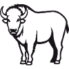 Buffalo
