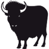 Buffalo