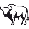 Buffalo