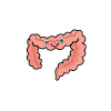 Gastroenterology Endoscopy Colonoscopy