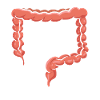 Gastro-entérologie Endoscopie Coloscopie