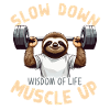 Motiverende dovendyr træning Bodybuilding Sjov