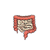 Gastroenterology Endoscopy Colonoscopy