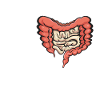 Gastroenterology Endoscopy Colonoscopy