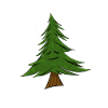 Schlafender Tannenbaum