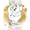 ABNEHMEN BIN ZU KLEIN