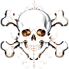 SKULL skull and bones