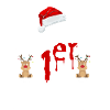 Mon 1er Noël