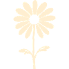 Daisy Beauty