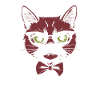 Chat mignon