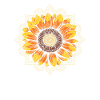 Sunflower Mandala Inspirational Zen