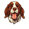 Dog Four-legged Friend Cute