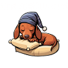 Schlafshirt Dachshund Schlafanzug Geschenk