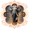 Elefant in Glitzerwolke