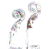 Cello