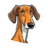 Galgo Español Hunderasse Cartoon Kawaii Illustratio
