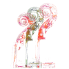 Cello Scroll