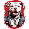 Hunderasse Pitbulls