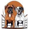 Chiens Boxer