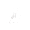 Philosophy