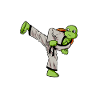 Cartoon turtle doing hapkido