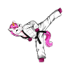 Cartoon Einhorn macht Hapkido