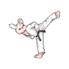 Cartoon Bunny Doing Hapkido