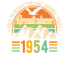 1954 Birthday Retro