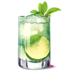 Mojito Cocktail Long Drink