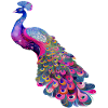 pfauenvogel bunt schöne fantasie bunt