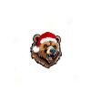 Weihnachts OUTFIT Bär
