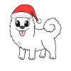 Caniche Chien Animal Noël