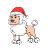 Caniche Chien Animal Noël