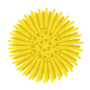 Tussilage