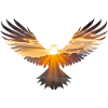 Eagle s Gauze Freedom