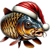Festive carp with santa hat