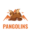 Pangolin Cadeau Pangolin