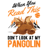 Pangolin Cadeau Pangolin