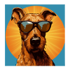 Irish Terrier Cool - Irish Terrier Dog