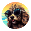 Labradoodle Cool - Labradoodle Dog