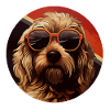 Labradoodle Cool - Chien Labradoodle