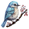 Cute bird in winter