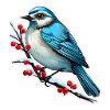 Oiseaux en hiver