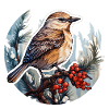 Birds in winter