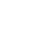 Seal Pinneped