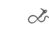 Gastroenterology Endoscopy Colonoscopy