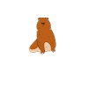 Prairie dog