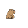 Prairie dog