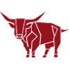 Bull Vanguard